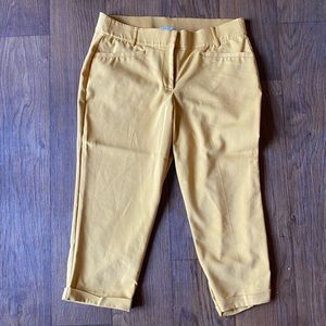 Lane Bryant The Modernist Collection capri pant